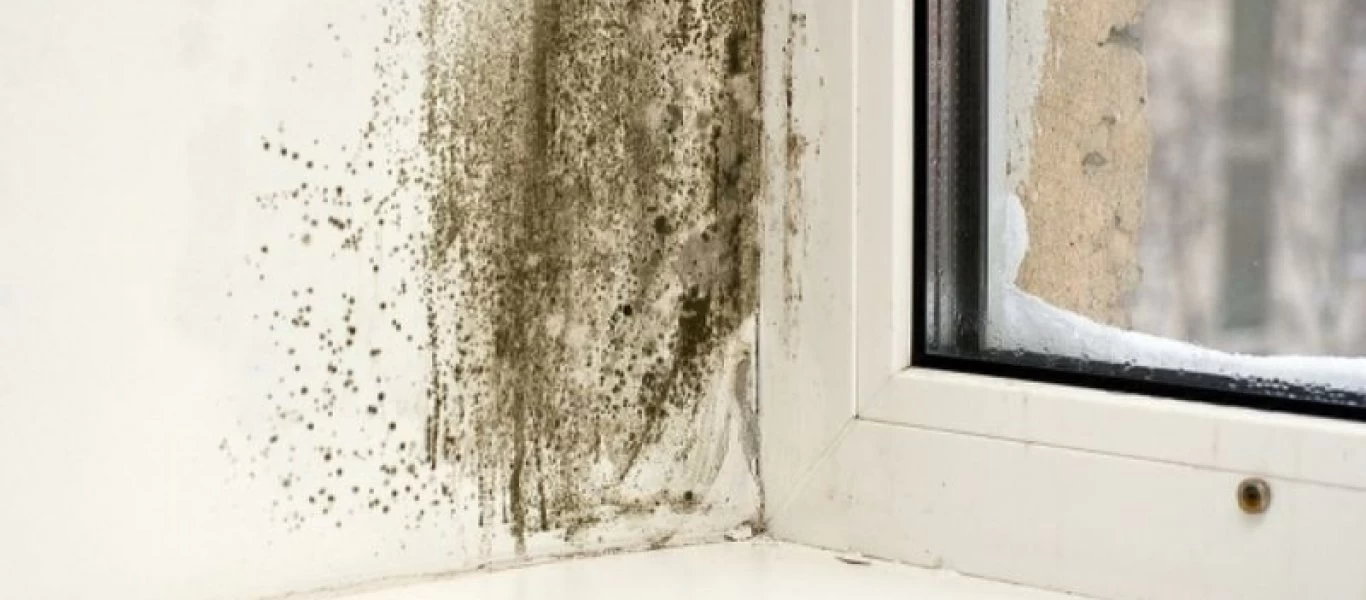 Πώς μπορείς να διώξεις την μούχλα από το σπίτι εύκολα;